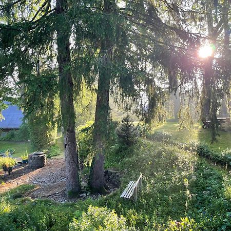 Liebevoll Eingerichtetes Ferienhaus Mit Grossem Garten Clausthal-Zellerfeld Esterno foto