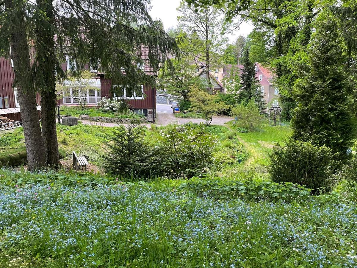 Liebevoll Eingerichtetes Ferienhaus Mit Grossem Garten Clausthal-Zellerfeld Esterno foto