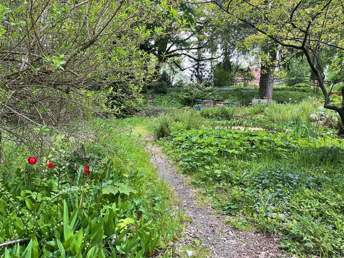 Liebevoll Eingerichtetes Ferienhaus Mit Grossem Garten Clausthal-Zellerfeld Esterno foto