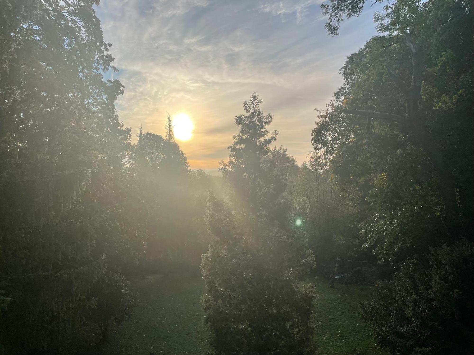 Liebevoll Eingerichtetes Ferienhaus Mit Grossem Garten Clausthal-Zellerfeld Esterno foto