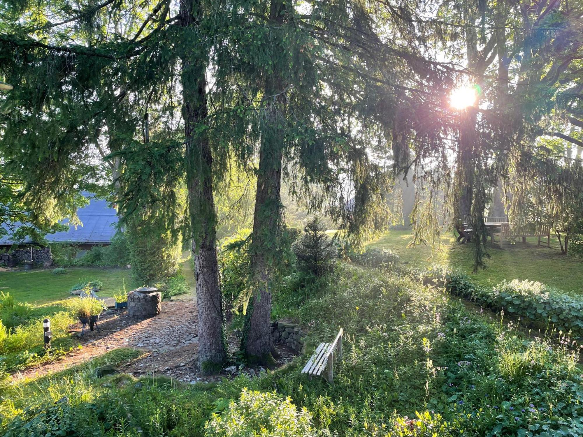 Liebevoll Eingerichtetes Ferienhaus Mit Grossem Garten Clausthal-Zellerfeld Esterno foto